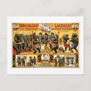 Cartão Postal Ringling Bros Pachyderms 1899 Vintage Elephants