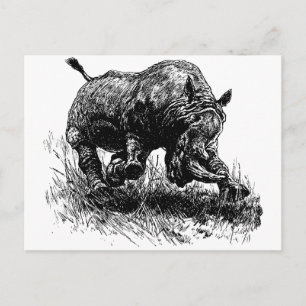 Cartão Postal Rino Africano