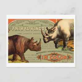 Cartão Postal Rinoceronte