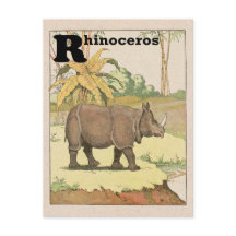 Rinoceronte Alphabet Animal