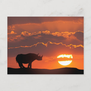 Cartão Postal Rinoceronte ao pôr do sol, Masai Mara, Quênia