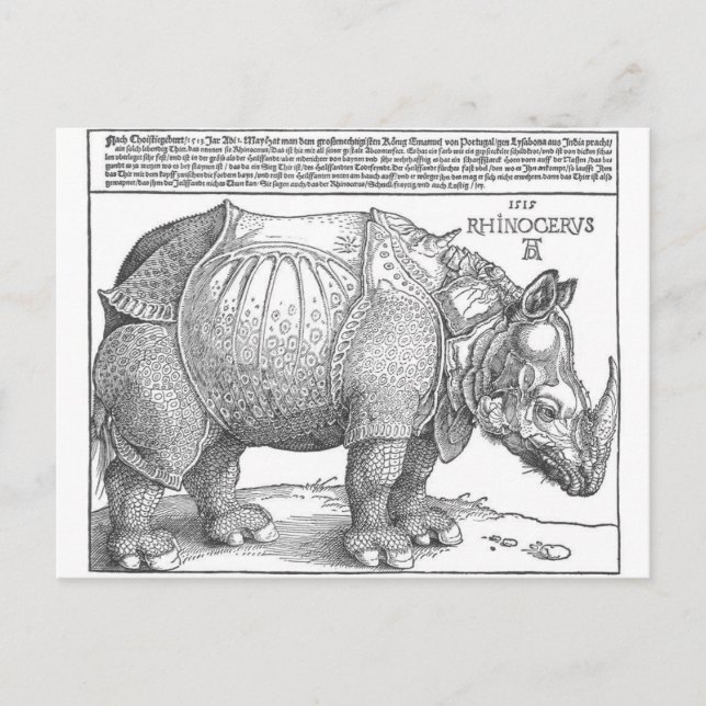 Cartão Postal Rinocerontes por Albrecht Durer (Frente)