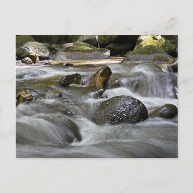 Cartão Postal Rio (Frente)