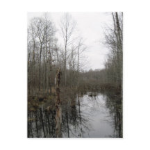 Rio através da natureza