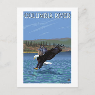 Cartão Postal Rio Columbia, Washington Eagle Diving