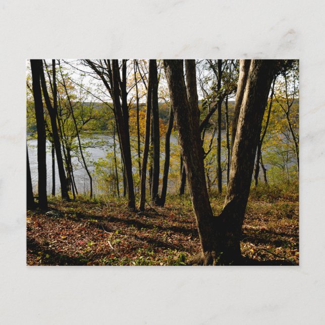 Cartão Postal Rio Connecticut (Frente)