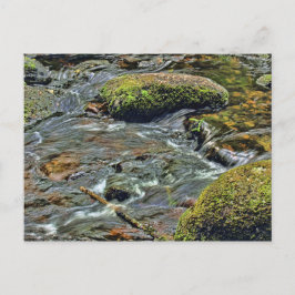 Cartão Postal Rio Dart em Dartmet Dartmoor