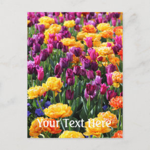 Cartão Postal Rio Floral Falln Sunset