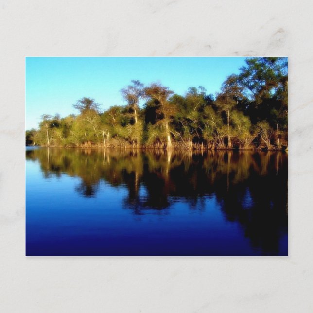 Cartão Postal Rio Flórida (Frente)