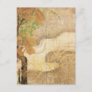 Cartão Postal Rio Fluente