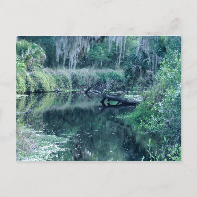 Cartão Postal Rio Log in (Frente)