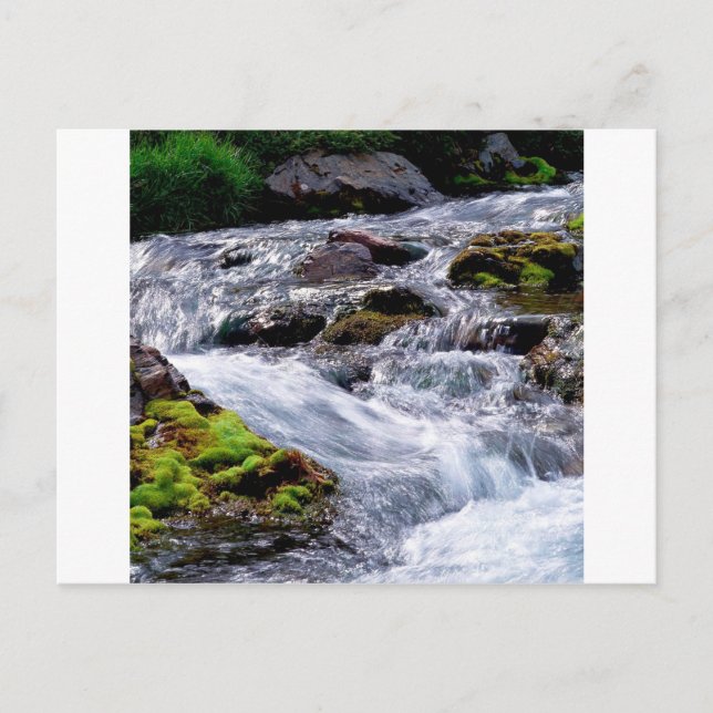Cartão Postal Rio Rushing Georgia (Frente)