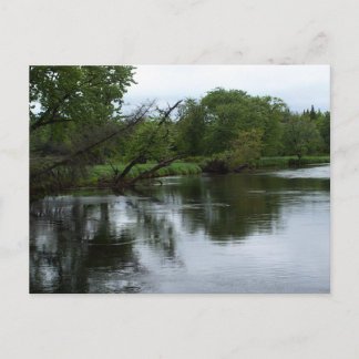 Cartão Postal "Rio Saranac" Foto do Rio Adirondack e Árvores