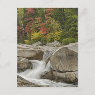 Cartão Postal Rio Swift em cascata através de rochas, Branco