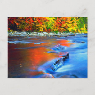 Cartão Postal Rio Swift refletindo cores de outono