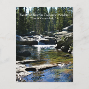 Cartão Postal Rio Tuolumne nos Prados de Tuolumne, Yosemite, CA