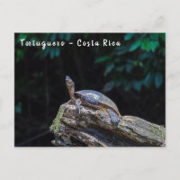 Rio Turtle, banho de sol em Tortuguero - Costa Ric