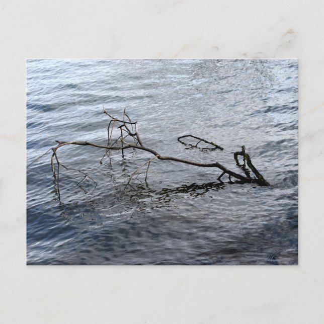 Cartão Postal Rio, vida estática (Frente)