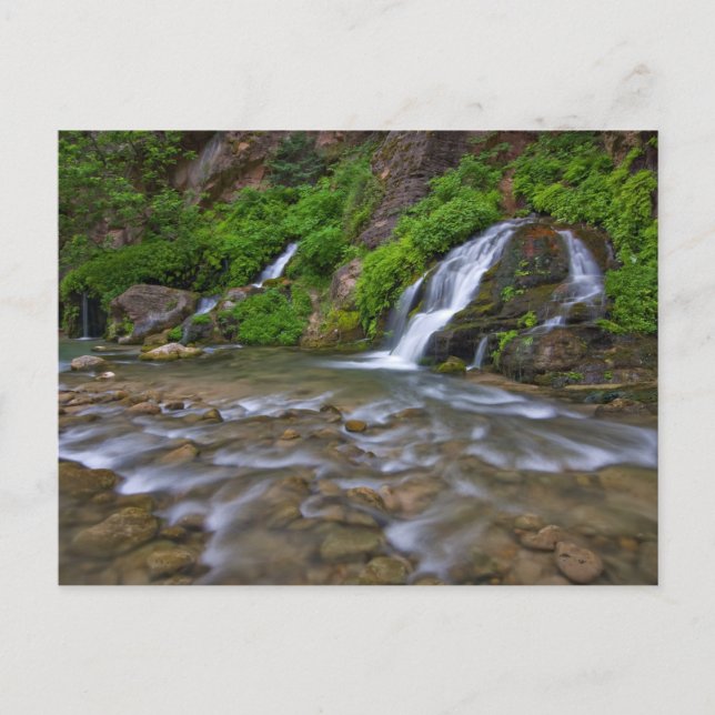 Cartão Postal Rio Virgem das Grandes Primaveras | Parque Naciona (Frente)