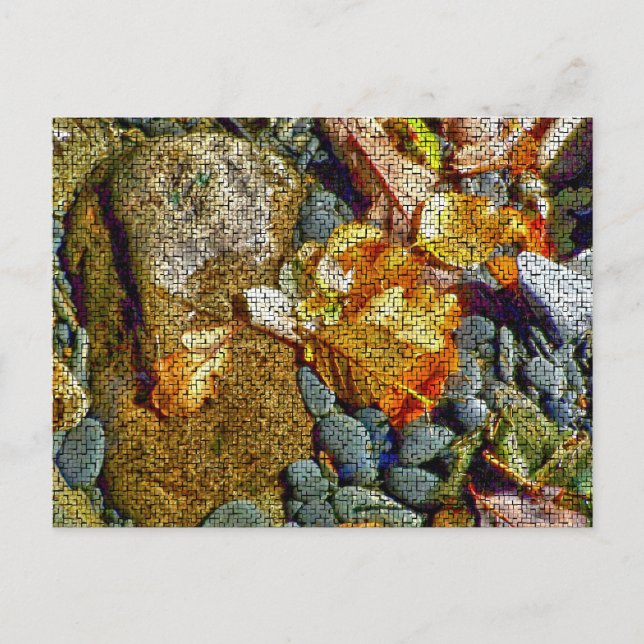 CARTÃO POSTAL RIOS (Frente)