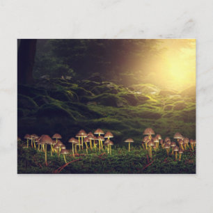 Cartão Postal Ripe Cogumelos Selvagens na Floresta