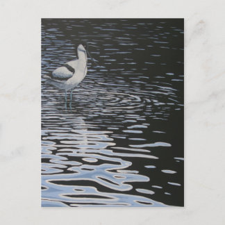 Cartão Postal Ripples e uma Evasão em contraste