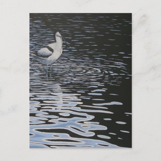 Cartão Postal Ripples e uma Evasão em contraste (Frente)