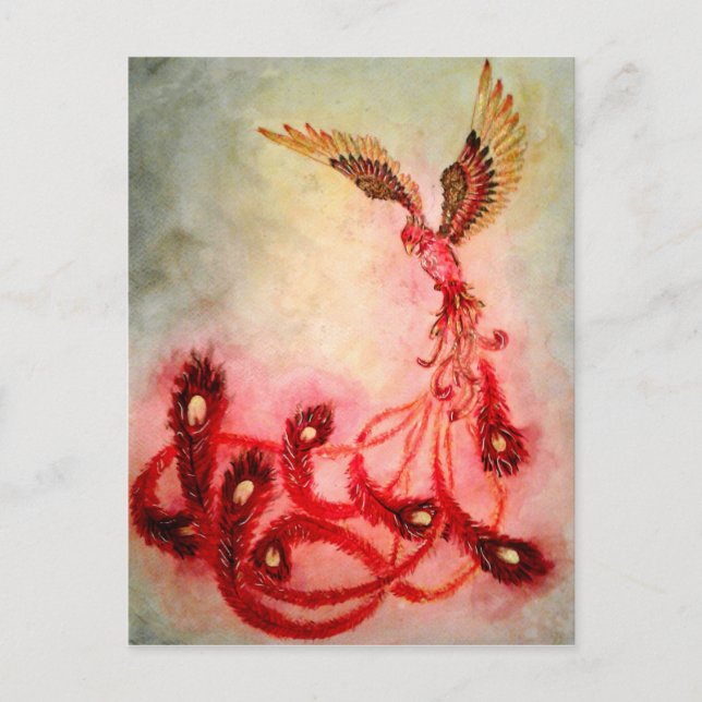Cartão Postal Rise - Cartão-postal Phoenix (Frente)