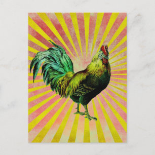 Cartão Postal Rise e Brilho