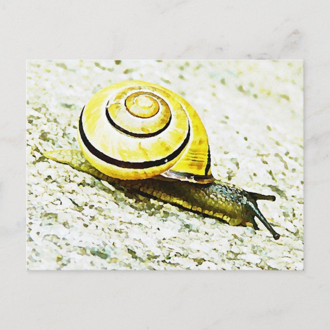 Cartão Postal Ritmo do Caracol (Frente)