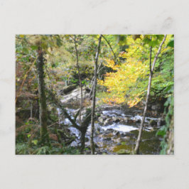 Cartão Postal river