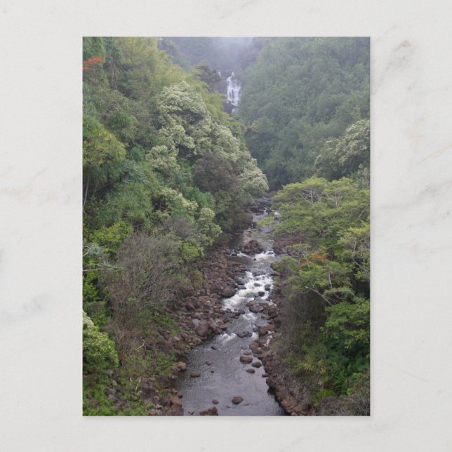 Cartão Postal River Valley perto de Hilo, Havaí (Frente)