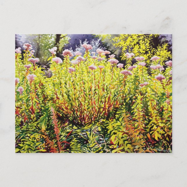 Cartão Postal Riverside Tarde Verão (Frente)