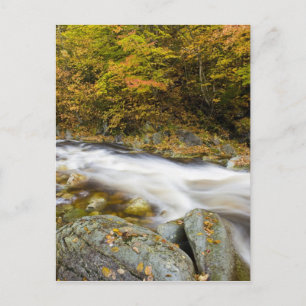 Cartão Postal Roaring Brook in fall in Vermont's Green