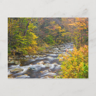 Cartão Postal Roaring Brook no outono em Vermont's Green 2