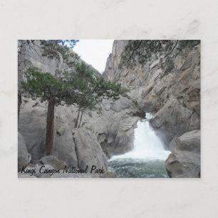 Cartão Postal Roaring River Falls - Kings Canyon National Park