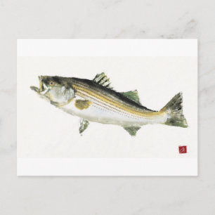 Cartão Postal Robalo Listrado