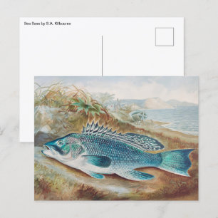 Cartão Postal Robalo por S.A. Kilbourne, Peixe Vintage
