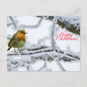 Cartão Postal Robbin Redbreast