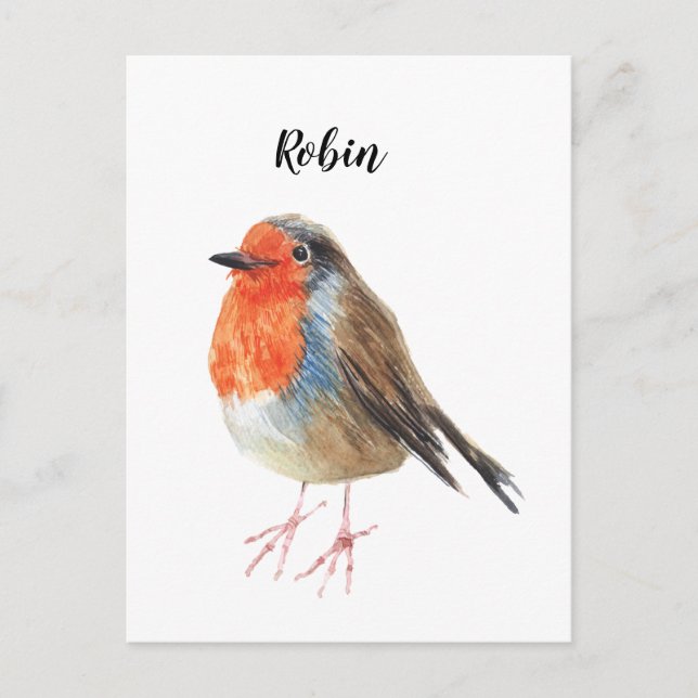 Cartão Postal Robin aquarela pintou pássaro. Belo cartão. (Frente)