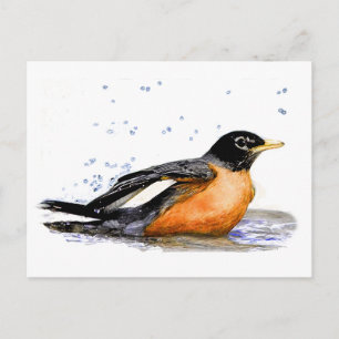 Cartão Postal Robin Bathing