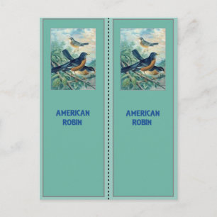 Cartão Postal Robin Bookmarks Americanos