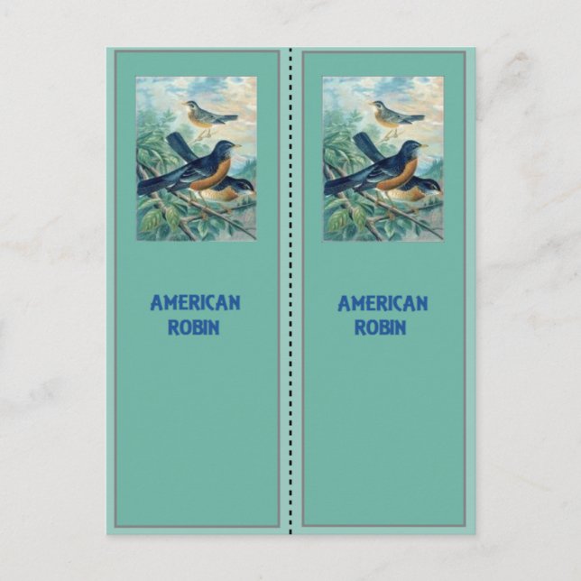 Cartão Postal Robin Bookmarks Americanos (Frente)