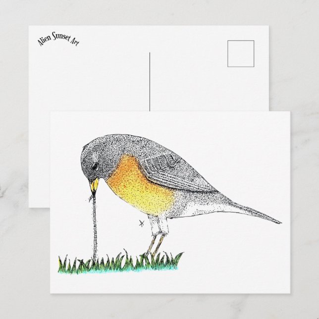 Cartão Postal Robin com Worm (Frente/Verso)