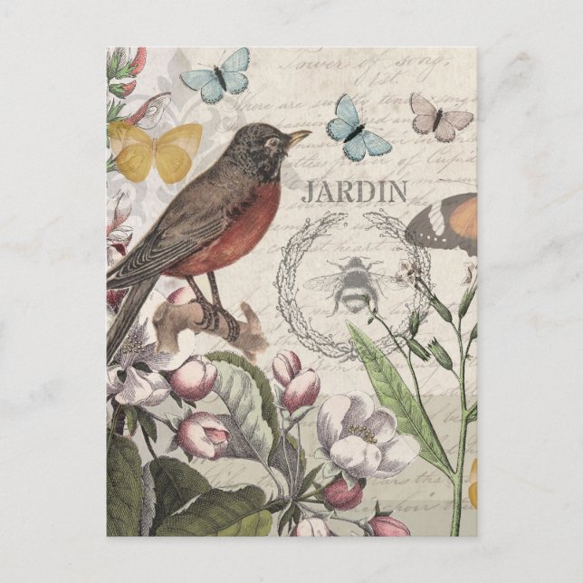 Cartão Postal Robin Elegant Bird Butterfly Arte Francesa (Frente)