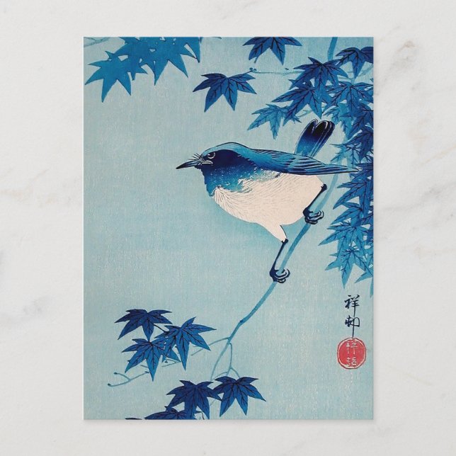 Cartão Postal Robin no Maple Branch, Koson, Arte Japonesa de Pás (Frente)