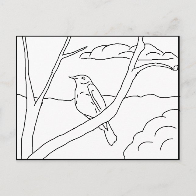 Cartão postal - Robin para Colorir (Frente)