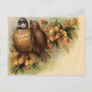Cartão Postal Robin Pássaro Amarelo Flor Vermelha