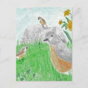 Cartão Postal Robins de Daffodils em Springtime desenhados à mão