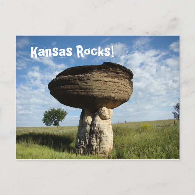 Cartão Postal Rocha Mushroom (Frente)